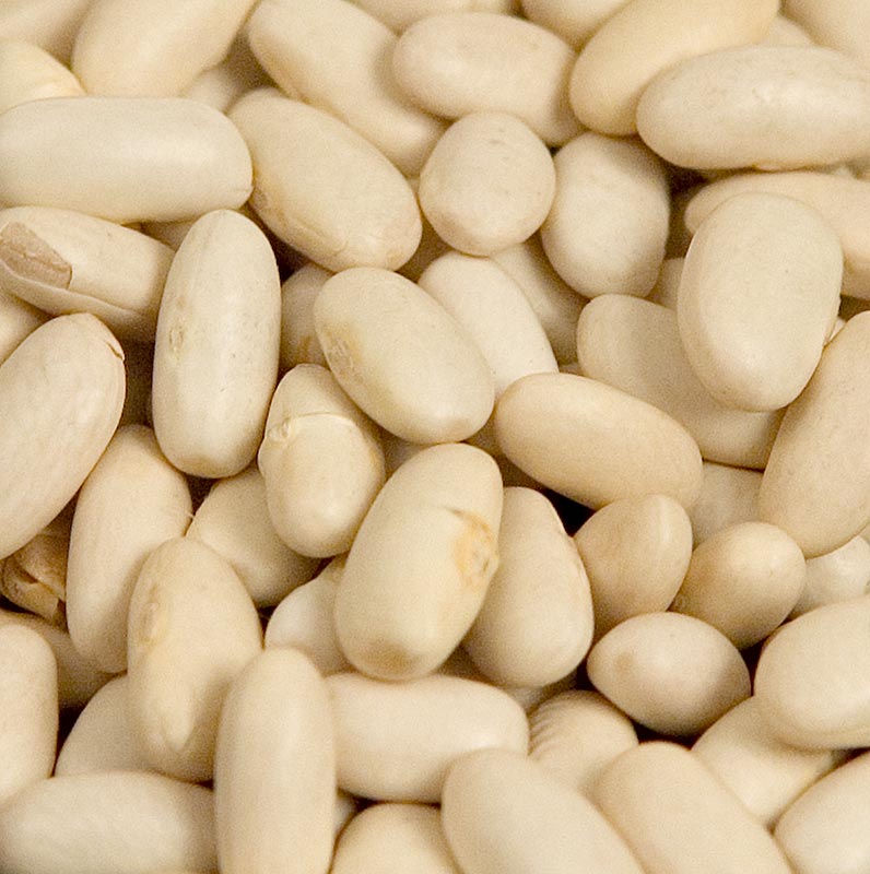 Bönor, Lingots blanc, vita bönor, medelstora, torkade, 1 kg