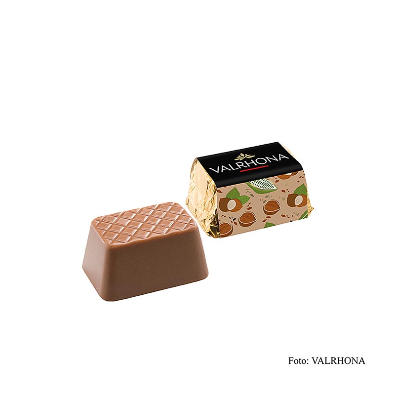 Valrhona "Lingot" Praliné - Gianduja Mini guldtackor, knaprig nougat, 2 kg
