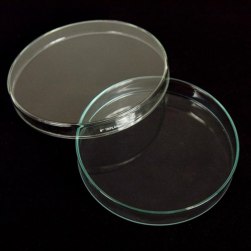 Petriskålar av glas, ø 15 cm med lock, 1 st