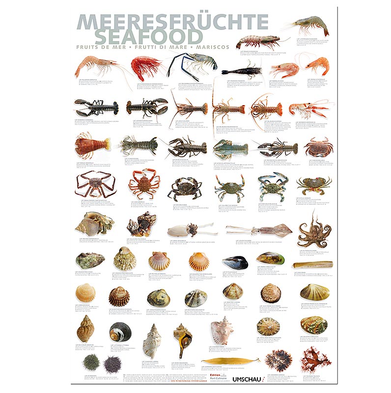 Port Culinaire – köksaffisch skaldjur (59,4 x 84 cm), 1 st