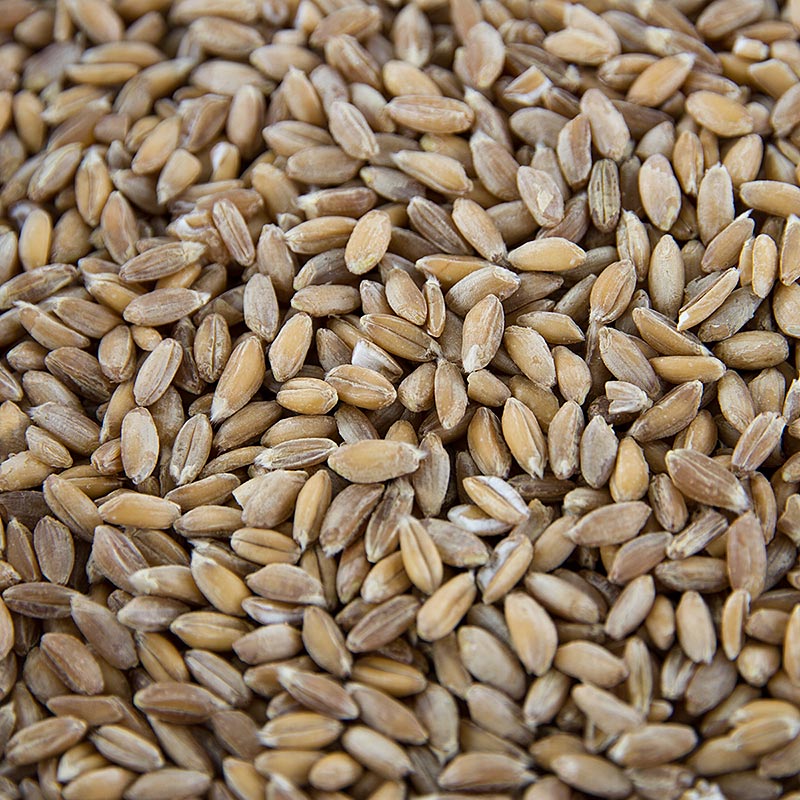 Emmervete (tvåkorn), hel, ekologisk, 1 kg
