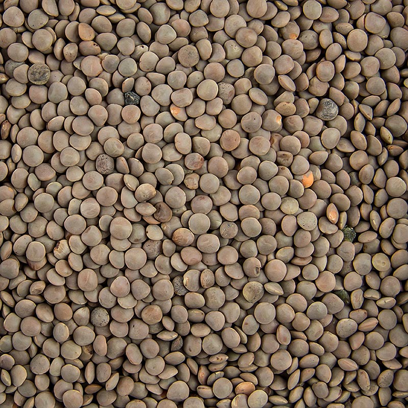 Linser, bruna, små, 5 kg