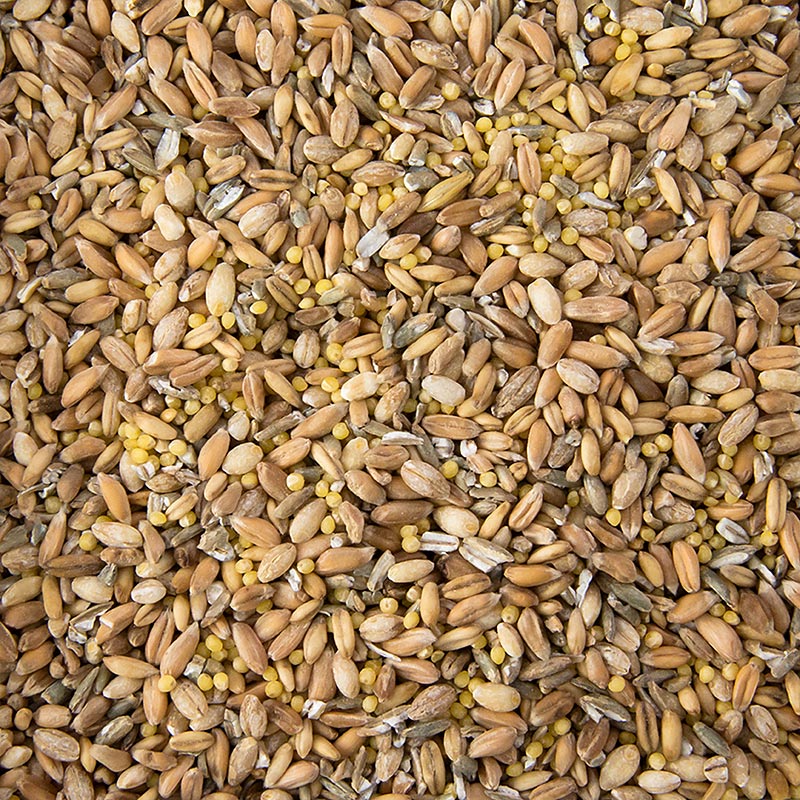 6-kornsblandning (vete, råg, spelt, havre, hirs, korn), 1 kg