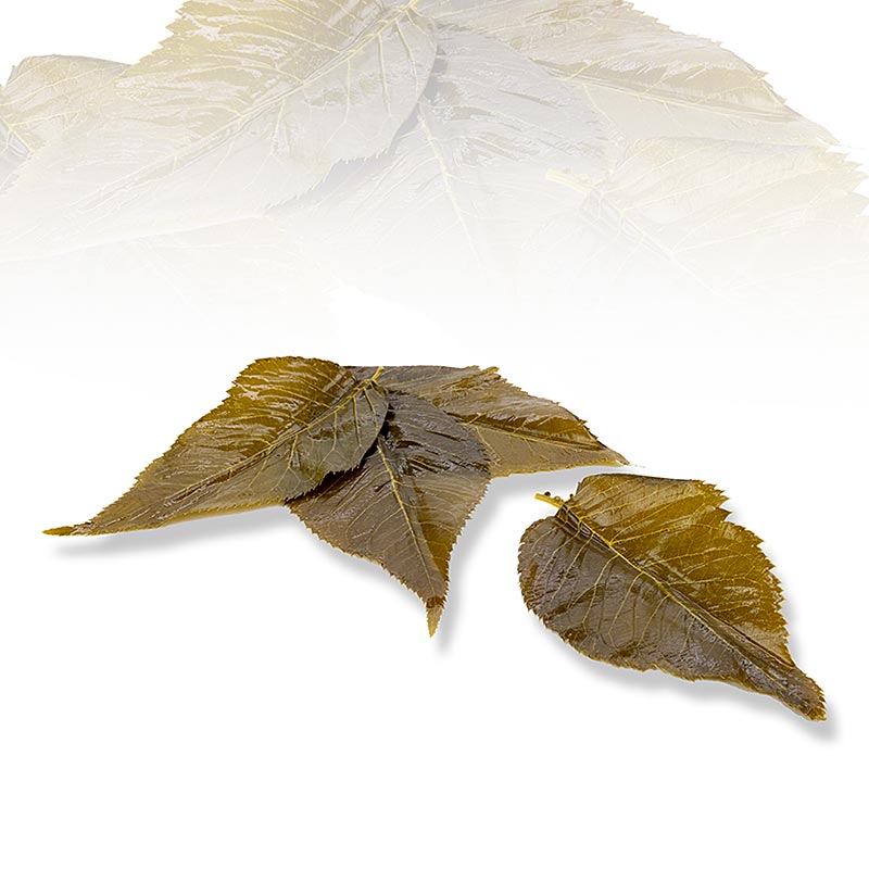 Sakura-körsbärsblad, 50 blad