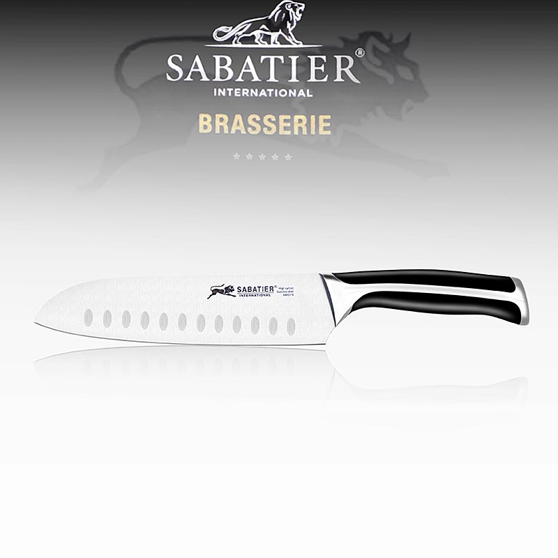 Santokukniv, Sabatier International, 1 st