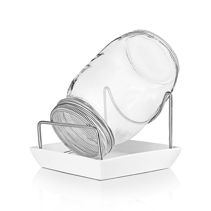 Glasburk för odling av groddar och plantor, Ellenello, 1 st
