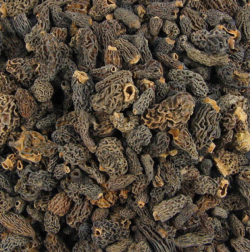 Spetsmorellhuvuden, Tinies, torkade, Plantin, 1 kg