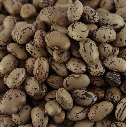 Bönor, borlotti – vaktelbönor, små, torkade, 500 g