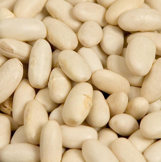 Bönor, Lingots blanc, vita bönor, medelstora, torkade, 1 kg