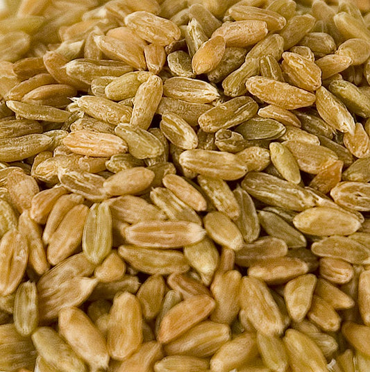 Grünkorn, hela, torkade på ved, 1 kg