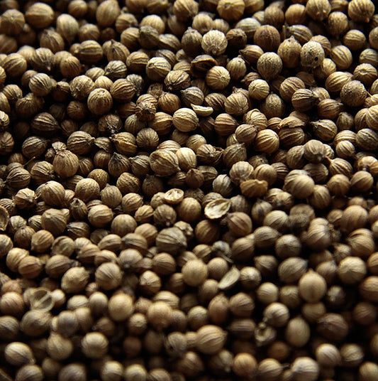 Korianderfrön, hela, 1 kg