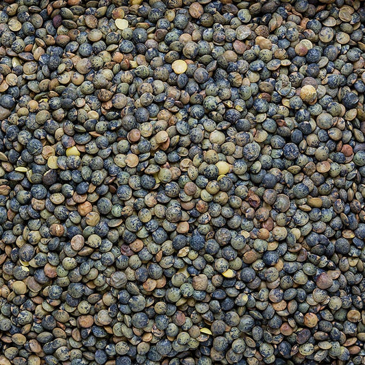 Linser, gröna – linser från Puy, traditionellt odlade, Frankrike, 1 kg