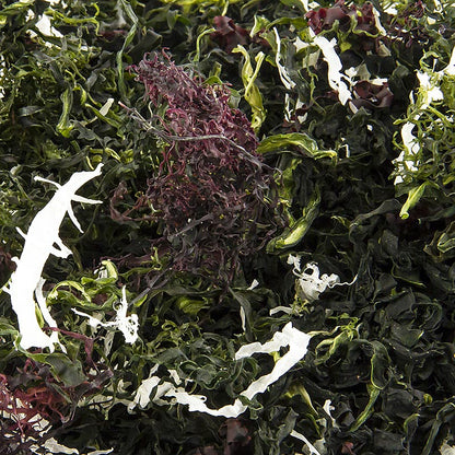 Kaiso Dried Seaweed Mix, torkad tång, 6 algsorter för Kaiso-sallad, 100 g