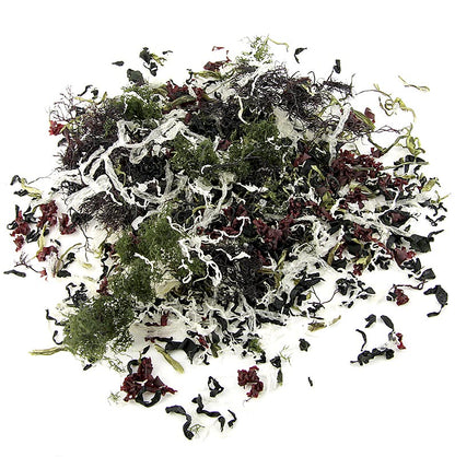 Kaiso Dried Seaweed Mix, torkad tång, 6 algsorter för Kaiso-sallad, 100 g