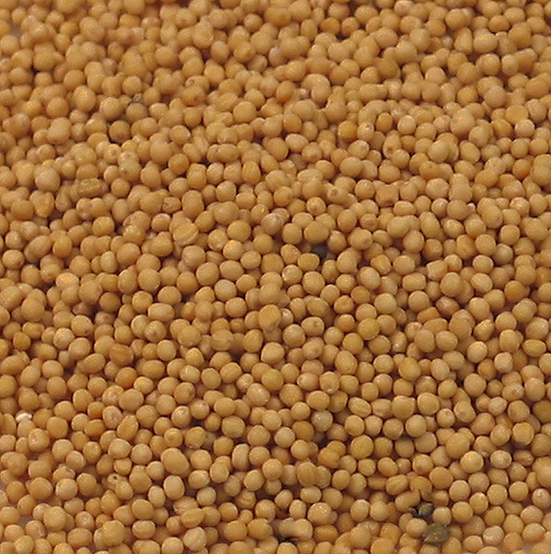Senapsfrön, ljusa, 1 kg