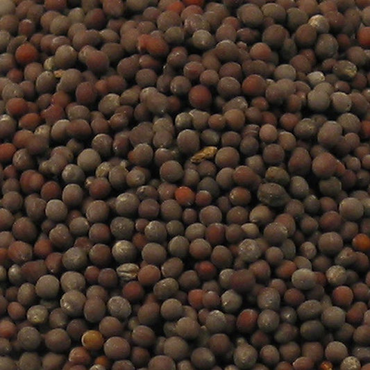 Senapsfrön, mörka, 100 g