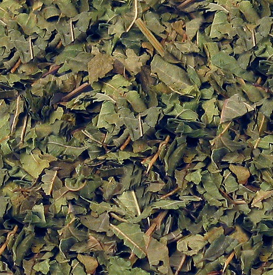 Citronverbena/citronört (falsk verbena / Verveine), skuren, 100 g