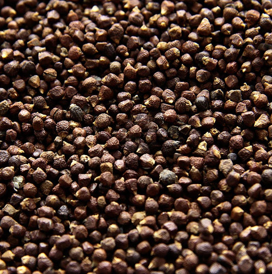Paradiskorn – Guinea-, Melegue-, Malagetta-, Maniguette-peppar, 250 g