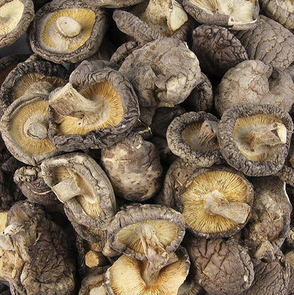 Shiitakesvamp, Tongu, liten storlek ø 3 cm, Zhong-Hon-Gu, 1 kg