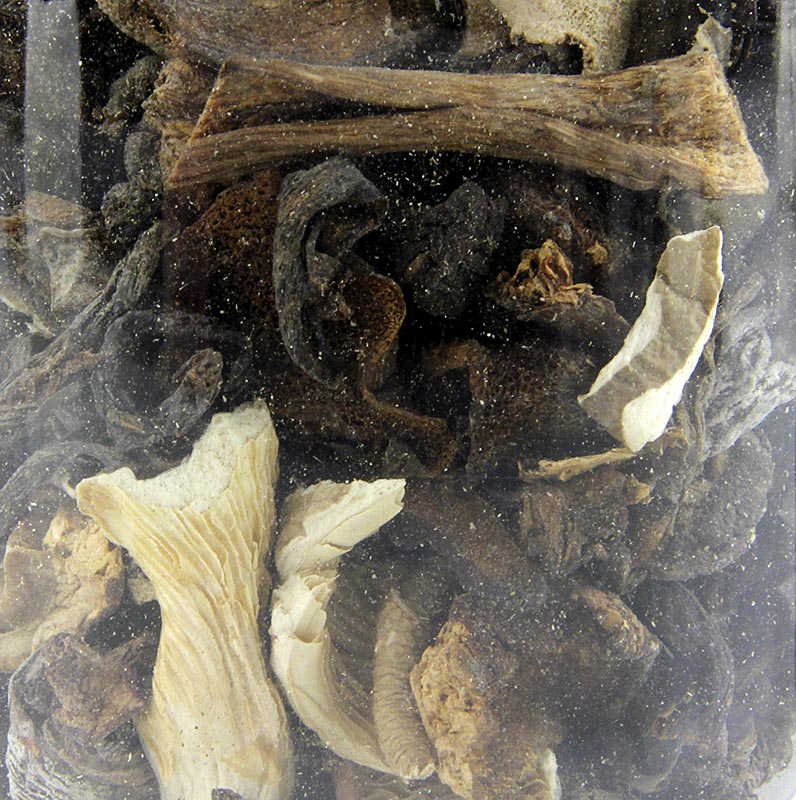 Svampblandning – Mélange Forestier, Plantin, 50 g