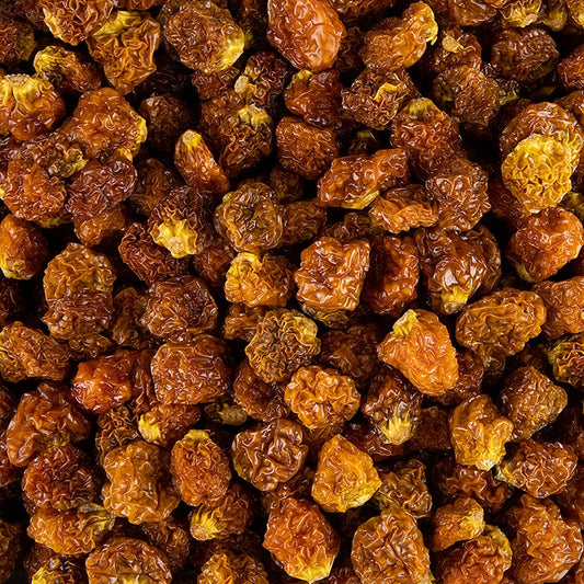 Kapstachelbär/Physalis, torkade, Colombia, 1 kg