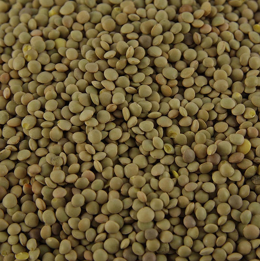 Linser, bruna – Lenticchie Umbre, berglinser, Umbrien, Bartolini, 500 g