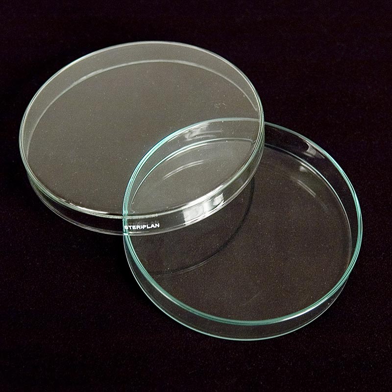 Petriskålar av glas, ø 12 cm med lock, 1 st