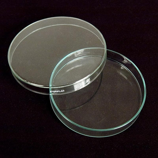 Petriskålar av glas, ø 12 cm med lock, 1 st