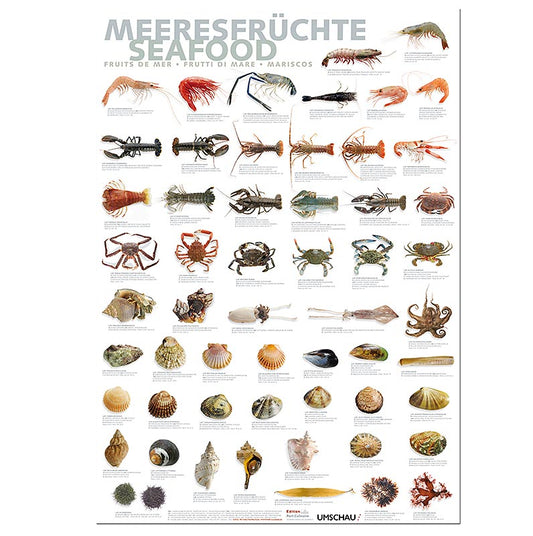 Port Culinaire – köksaffisch skaldjur (59,4 x 84 cm), 1 st
