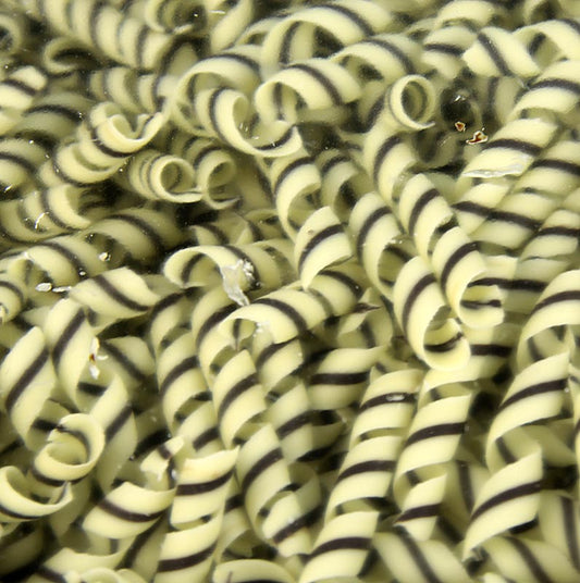 Dekorationsplatta "Tornado" – lockform, vit/mörk choklad, ca 10x62 mm, 800 g