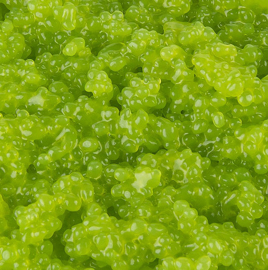 Cavi-Art® algkaviar, wasabismak, vegansk, 500 g