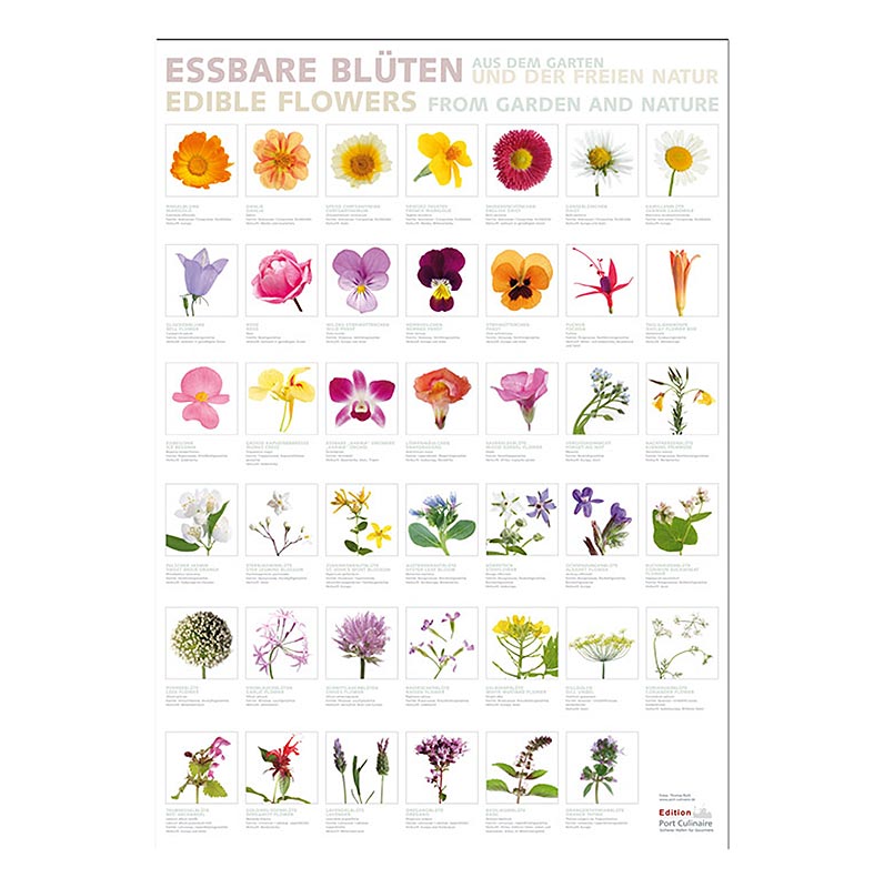 Port Culinaire – köksaffisch ätbara blommor (59,4 x 84 cm), 1 st