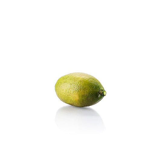 Fingerlime / lime-kaviar, färsk, 1 kg