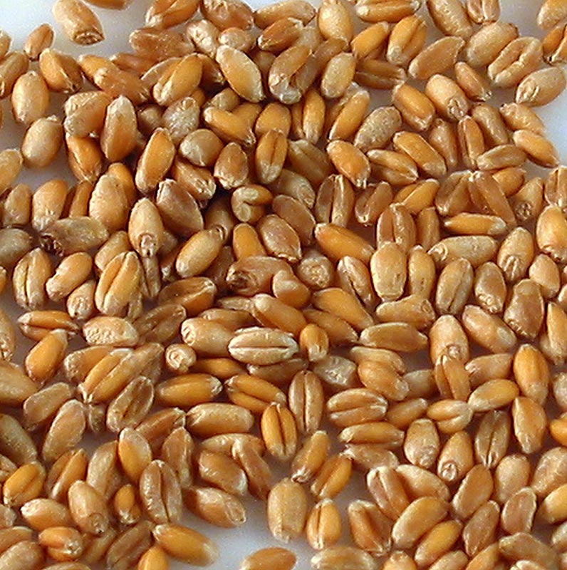Hela vete, ekologiskt, 1 kg