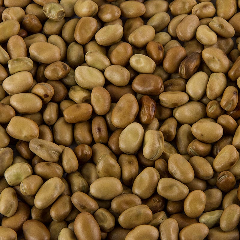 Foul Medammas – fava bönor, torkade, 800 g