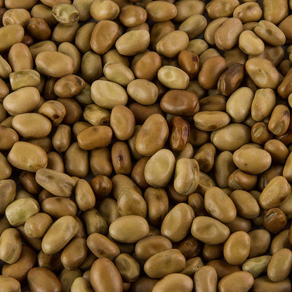 Foul Medammas – fava bönor, torkade, 800 g