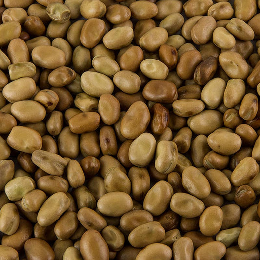 Foul Medammas – fava bönor, torkade, 800 g