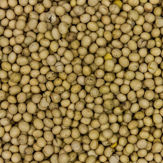 Sojabönor, Europa, ekologiska, 1 kg