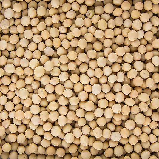 Bönor, sojabönor, torkade, ekologiska, 1 kg