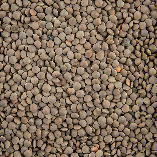 Linser, bruna, små, 1 kg