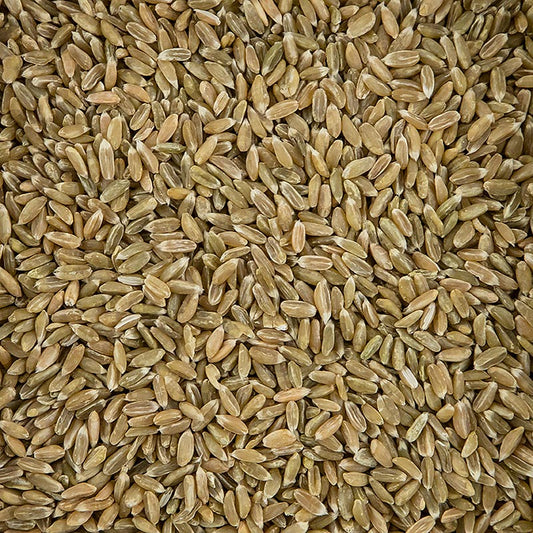 Grünkorn, hela, ekologiskt, 500 g