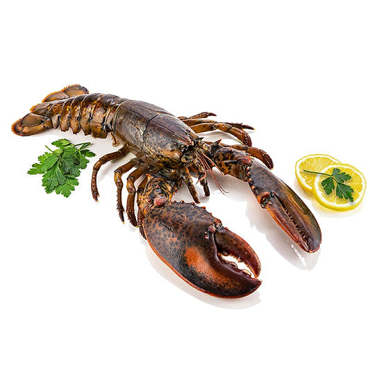 Kanadensisk hummer (HPL), hel, med skal, Hafro, fryst, 500 g