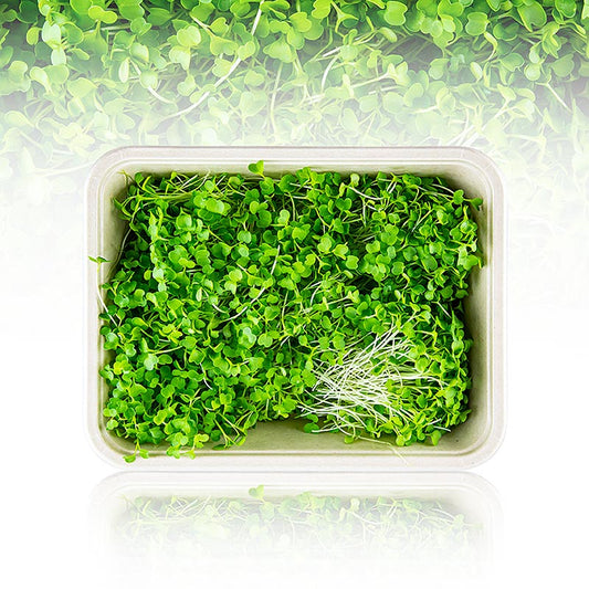 Fullpackade mikrogrönsaker "Broccoli", helt unga blad/groddar, 75 g