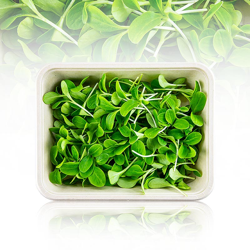 Fullpackade microgreens "borage", mycket unga blad/groddar, 50 g