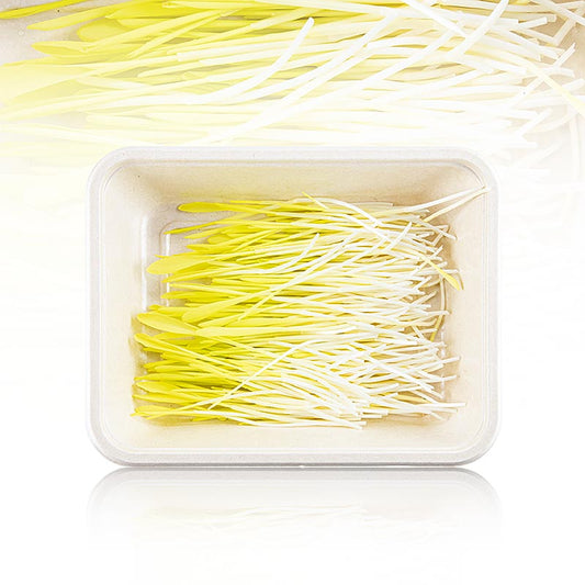 Fullpackade microgreens "Majs", helt unga blad/groddar, 50 g