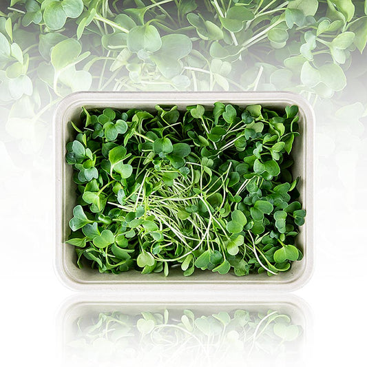 Fullpackade mikrogrönsaker "Rädisa", helt unga blad/groddar, 100 g