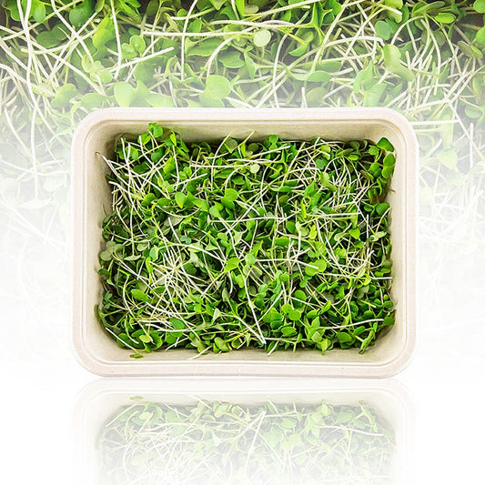 Fullpackade mikrogrönsaker "Senap", mycket unga blad/groddar, 75 g