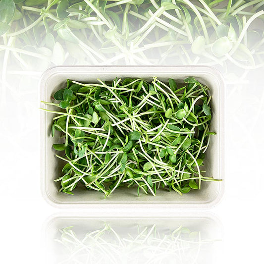 Fullpackade microgreens "Solros", mycket unga blad/groddar, 100 g