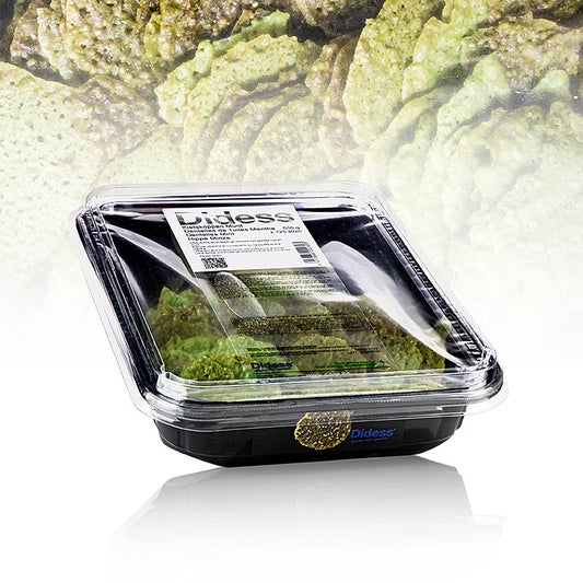 Grand Dekor myntakrokant, söt, Didess, 500 g, 125 st