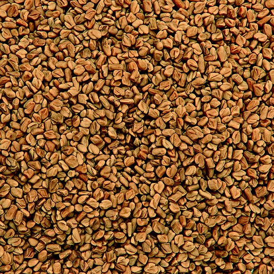 Fenugreekfrön (Methi Seeds), rosta före användning!, BIO, 1 kg